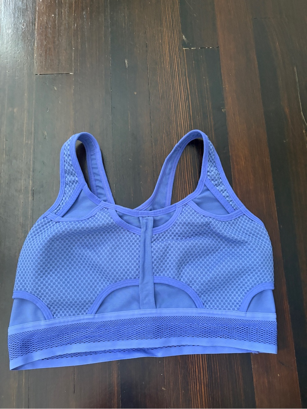 Nike Violet Mesh Sports Bra
